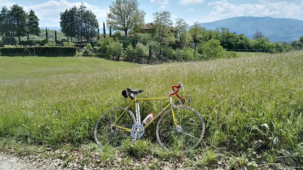 B&B Le Due Volpi Vicchio