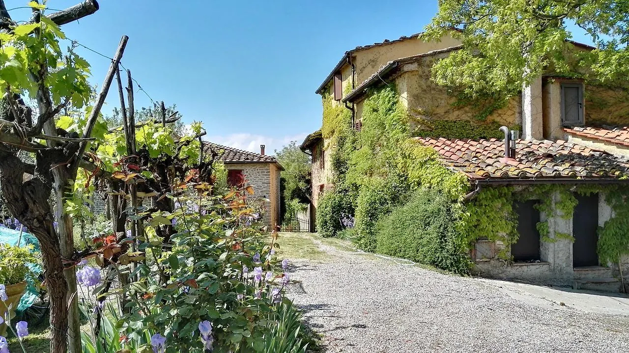 B&B Le Due Volpi Vicchio 3*,  Italien
